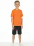Camiseta algodão gola redonda infantil unissex fenomenal