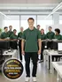 Polo piquet masculina fenomenal
