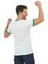 Camiseta Flamê Brasil Fenomenal
