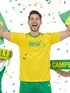 Camiseta Seleção Brasil Fenomenal (sem elasticidade)