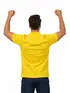 Camisa Polo Flamê Brasil Fenomenal