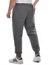 Calça moletom flanelado básica punho fenomenal