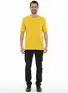 Camiseta masculina básica fenomenal