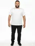 Camiseta poliester premium plus size fenomenal