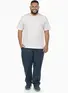 Camiseta Masculina Fenomenal Decote V