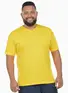 Camiseta Masculina Fenomenal Decote V