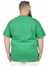 Camiseta Masculina Fenomenal Decote V