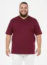Camiseta Masculina Fenomenal Decote V