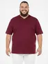 Camiseta Masculina Fenomenal Decote V