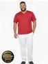 Camiseta Masculina Fenomenal Decote V