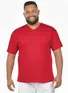 Camiseta Masculina Fenomenal Decote V