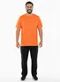 Camiseta Plus Size Masculina Fenomenal Gola Redonda