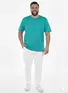 Camiseta Plus Size Masculina Fenomenal Gola Redonda