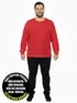 Camiseta manga longa malha fria plus size fenomenal