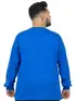 Camiseta Manga Longa Algodão Plus Size Fenomenal
