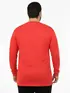 Camiseta Decote V Manga Longa Plus Size Fenomenal