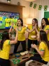 Camiseta Brasil Lisa Fenomenal
