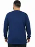 Camiseta m/l plus size pa fenomenal