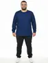 Camiseta m/l plus size pa fenomenal