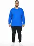Camiseta m/l plus size pa fenomenal