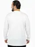 Camiseta m/l plus size pa fenomenal