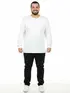 Camiseta m/l plus size pa fenomenal