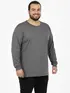 Camiseta m/l plus size pa fenomenal