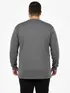 Camiseta m/l plus size pa fenomenal