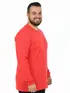 Camiseta m/l plus size pa fenomenal