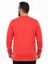 Camiseta m/l plus size pa fenomenal