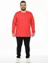 Camiseta m/l plus size pa fenomenal