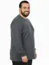 Camiseta m/l plus size pa fenomenal