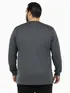 Camiseta m/l plus size pa fenomenal