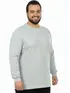 Camiseta m/l plus size pa fenomenal