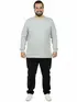 Camiseta m/l plus size pa fenomenal