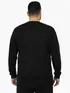 Camiseta m/l plus size pa fenomenal